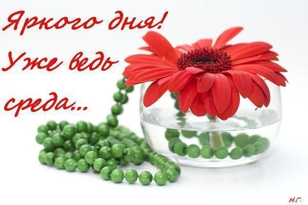 Открытки